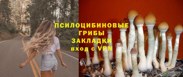 мескалин Алексин