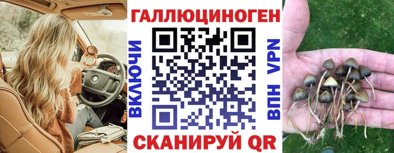 Псилоцибиновые грибы Psilocybine cubensis  мориарти официальный сайт  Петрозаводск 